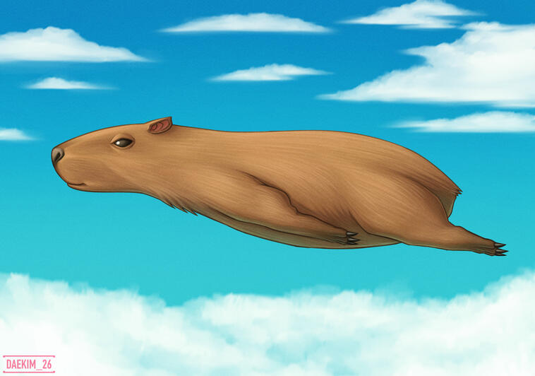 Pokemon Capybara (Flying Type)