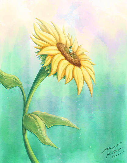 Sunflower