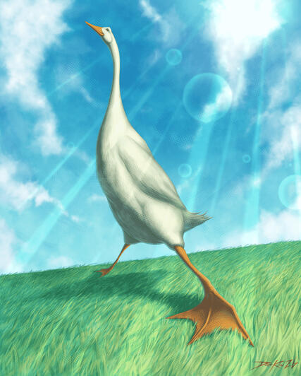 Tall Duck