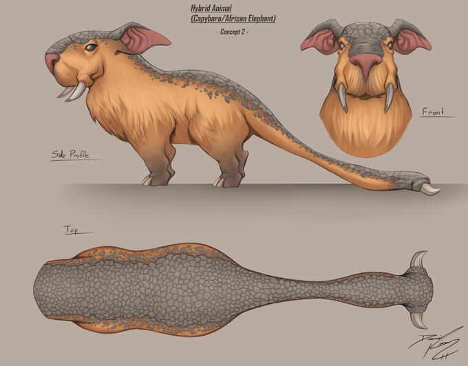 Capybara/African Elephant (Final Concept)
